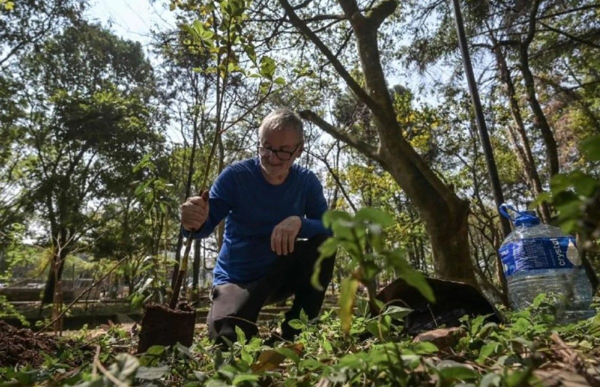 Пенсіонер з Бразилії 20 років висаджує дерева – відео Пенсіонер з Бразилії 20 років висаджує дерева – відео