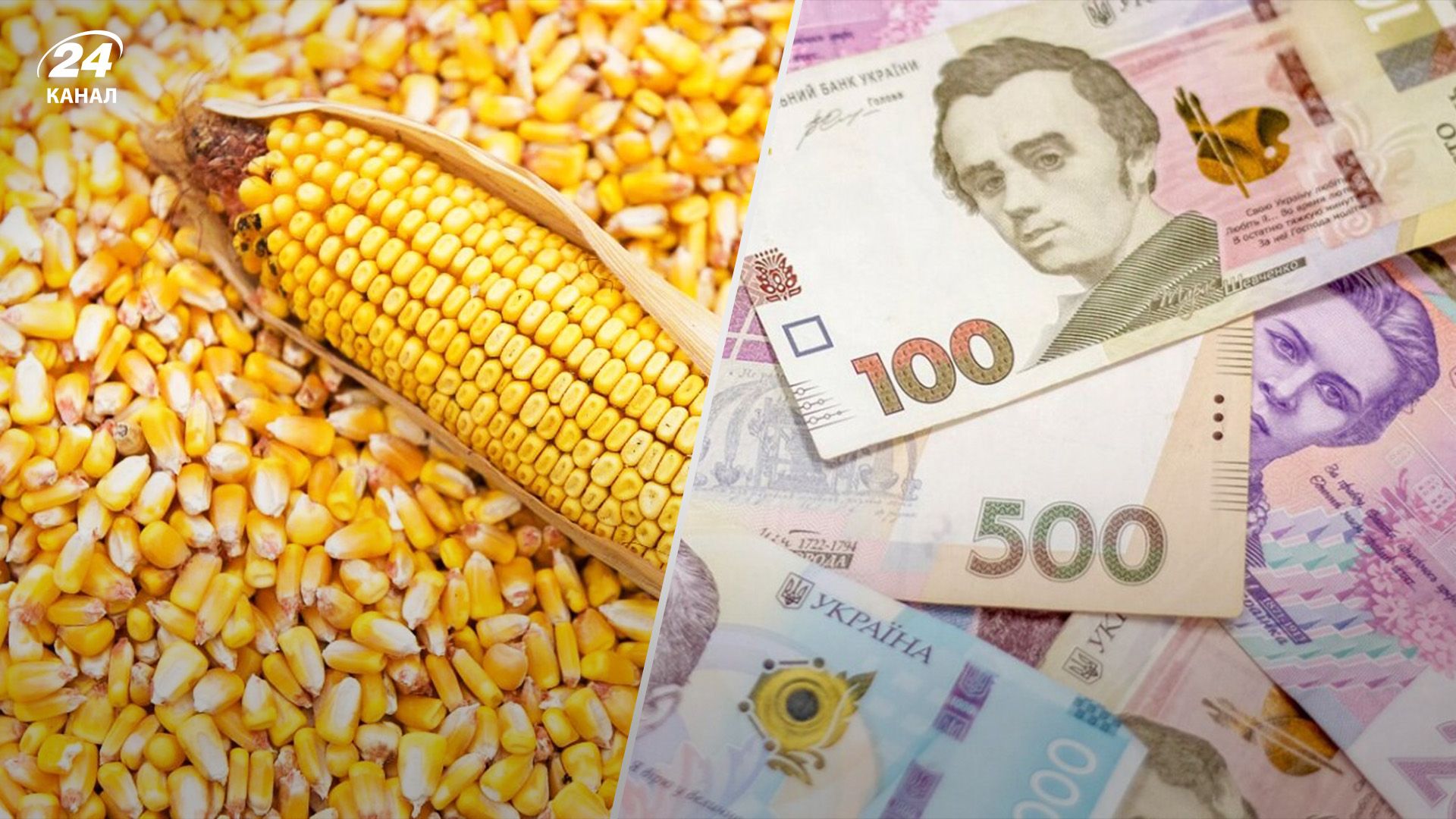 Украинская кукуруза дорожает Украинская кукуруза дорожает