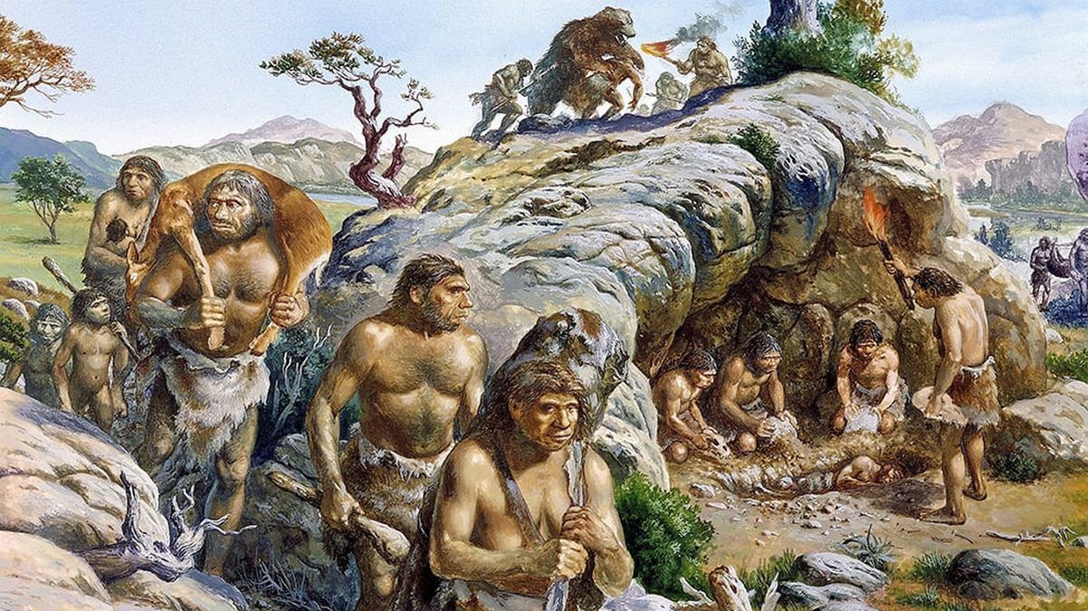 Неандертальцы изготавливали и носили одежду так же, как и современные люди Неандертальцы изготавливали и носили одежду так же, как и современные люди