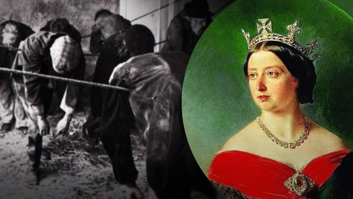 У Британії 19 століття похміллям за дві копійки називали сон на мотузці У Британії 19 століття похміллям за дві копійки називали сон на мотузці