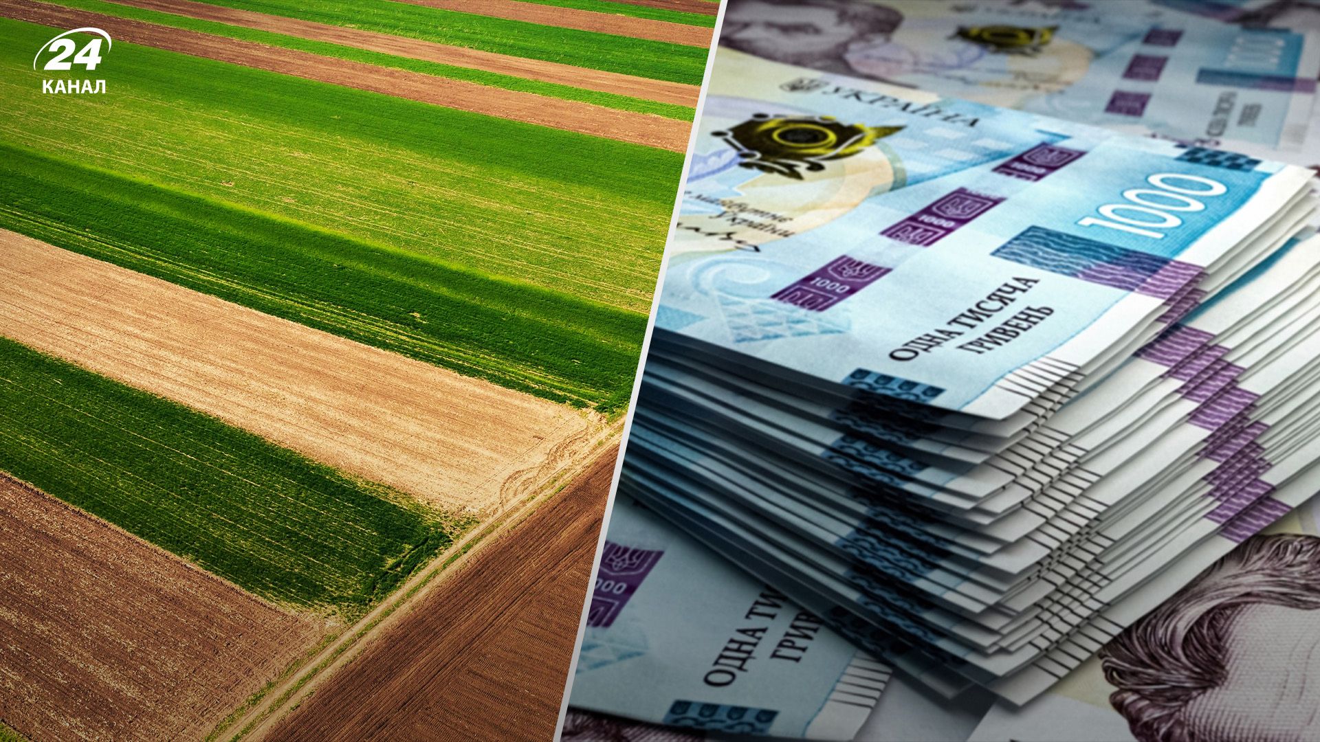 Земля на Київщині подорожчала Земля на Київщині подорожчала