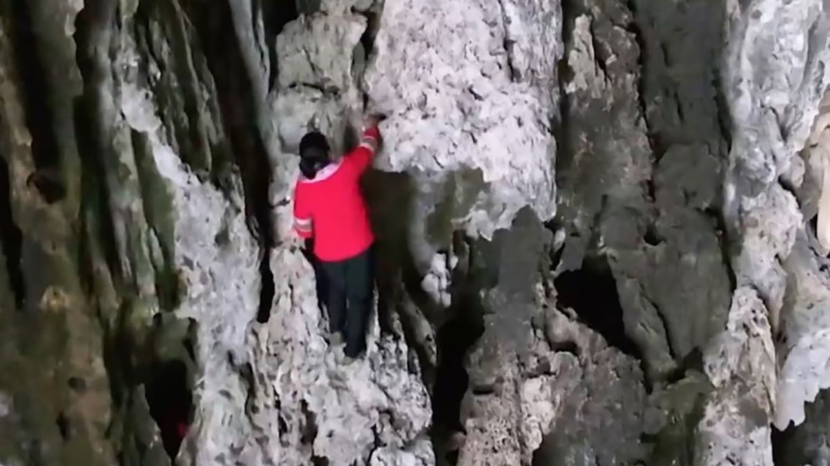 В Китае женщина научилась вылезать на огромную скалу без страховки В Китае женщина научилась вылезать на огромную скалу без страховки