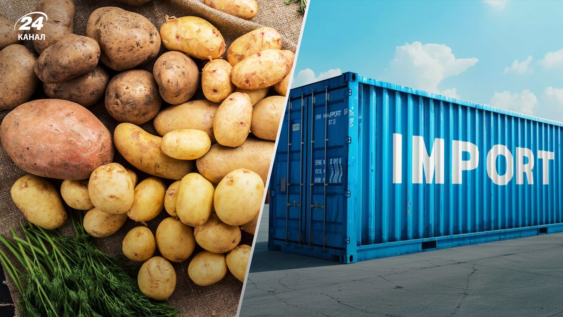 Украина импортирует рекордное количество картофеля Украина импортирует рекордное количество картофеля