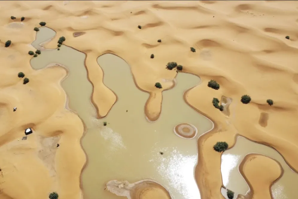 Сахару затопило Сахару затопило