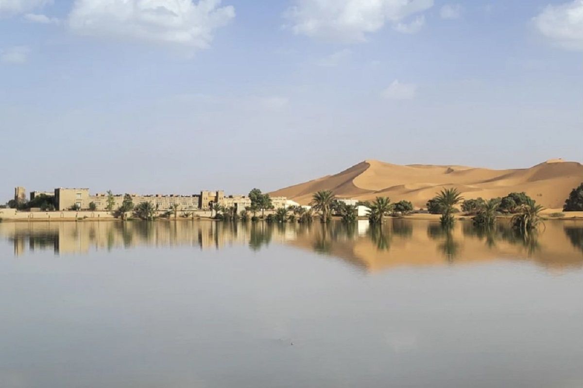 В Сахаре прошли дожди В Сахаре прошли дожди