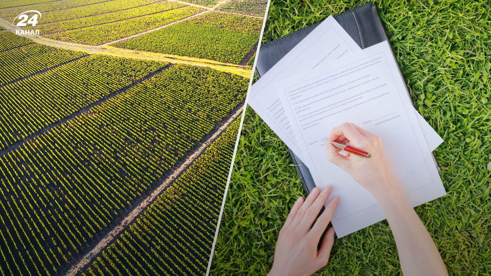 Кому та до якого часу можна приватизувати землю Кому та до якого часу можна приватизувати землю