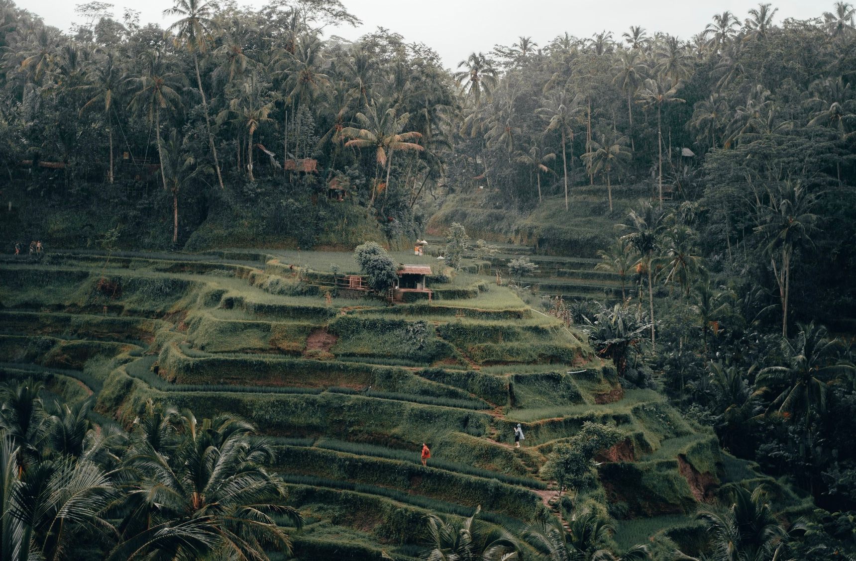 Туристам на Балі тепер загрожує 20 років в'язниці Туристам на Балі тепер загрожує 20 років в'язниці