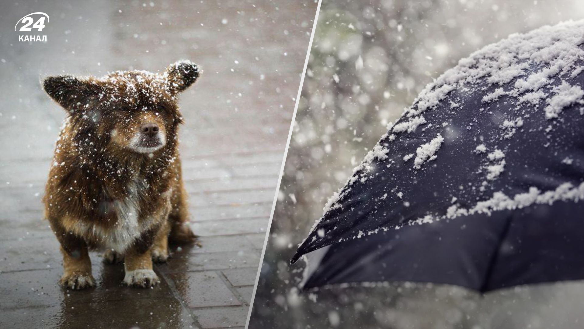 Синоптики предупредили о дожде с мокрым снегом Синоптики предупредили о дожде с мокрым снегом