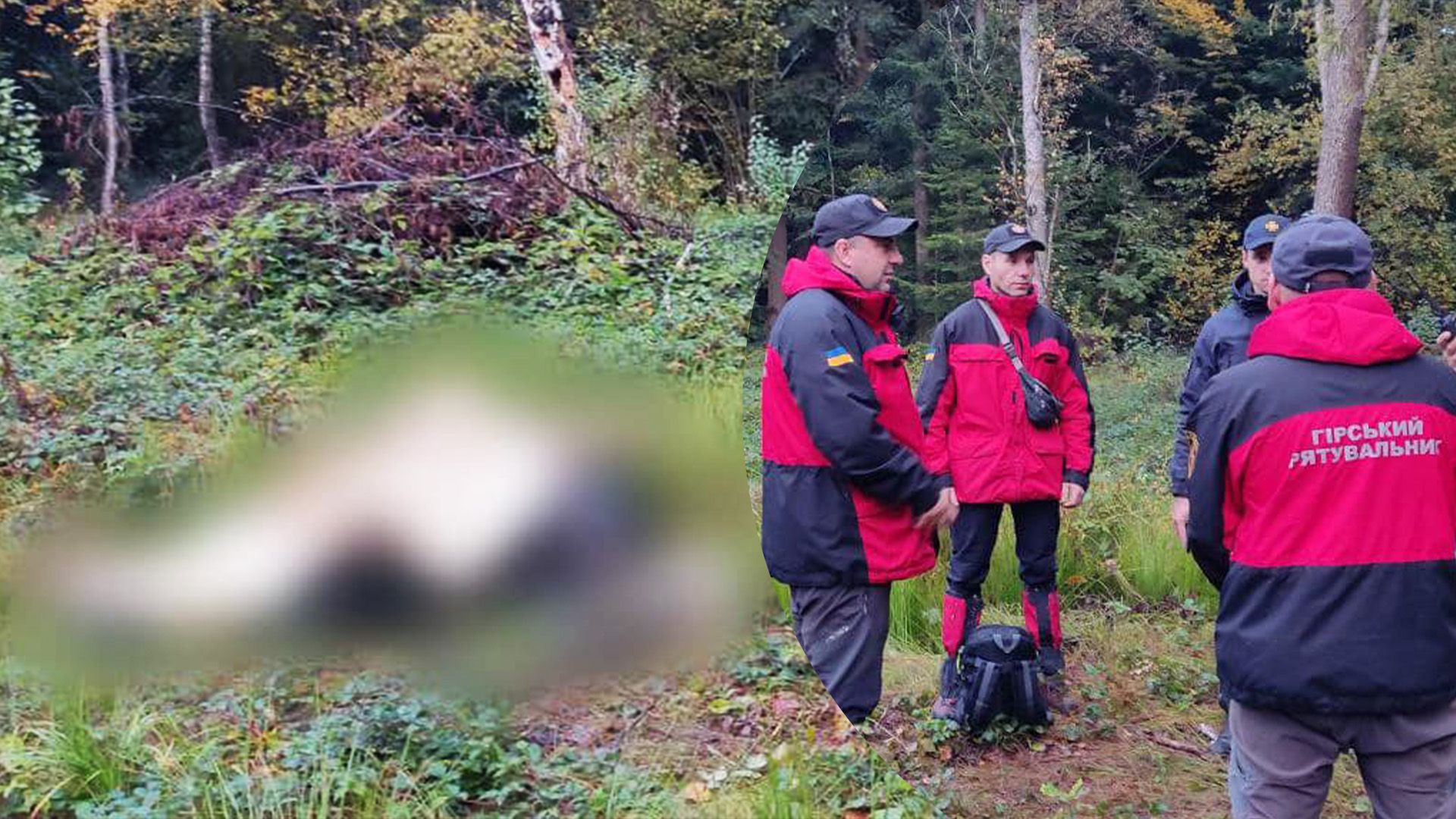 У лісі на Прикарпатті знайшли тіла двох грибників У лісі на Прикарпатті знайшли тіла двох грибників