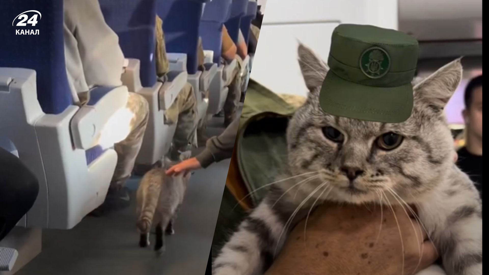 Кот Василий из Серебрянского леса Кот Василий из Серебрянского леса