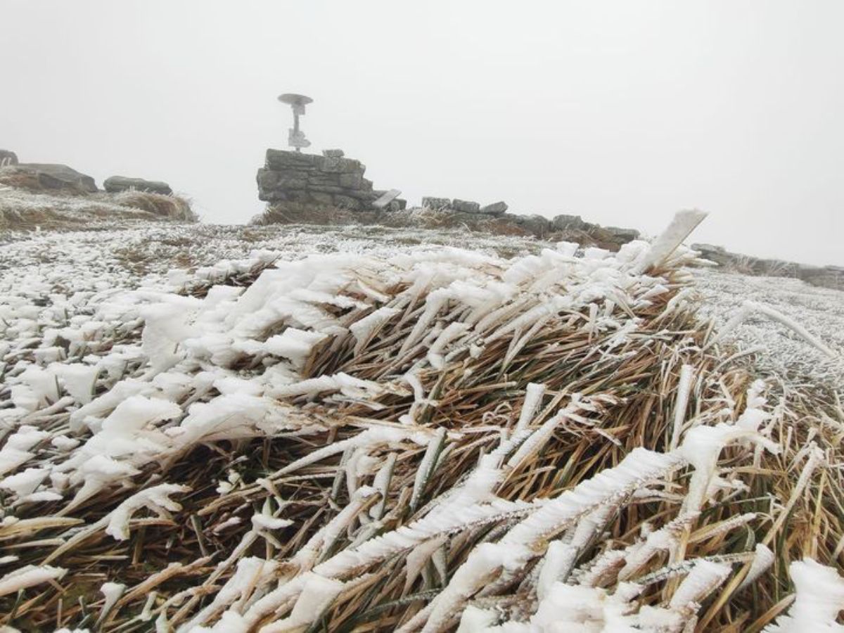 Гора Піп Іван Гора Піп Іван