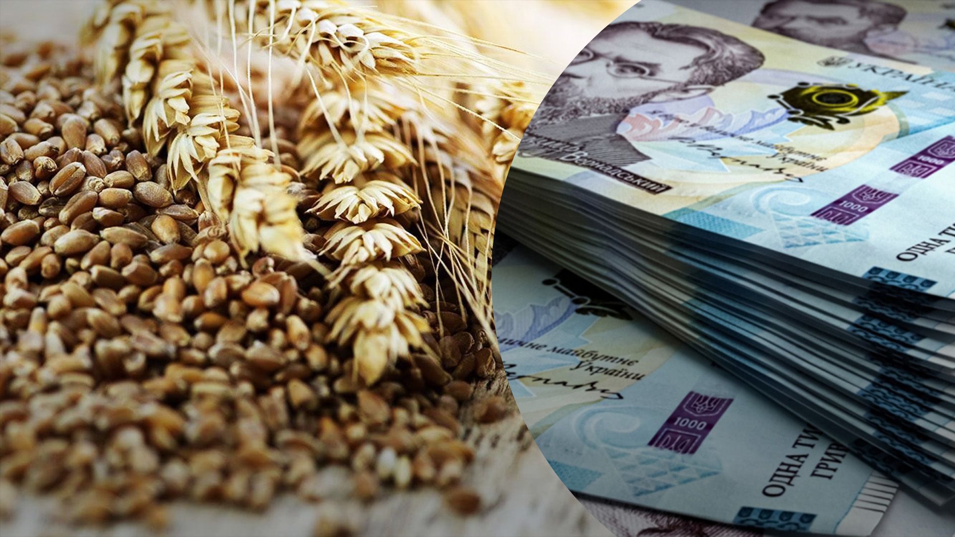 Стоимость пшеницы может сильно вырасти Стоимость пшеницы может сильно вырасти