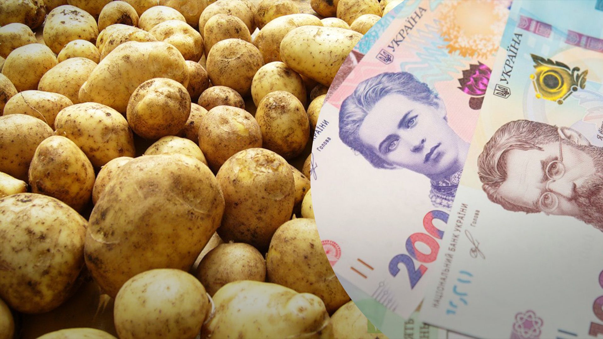 Какие цены на картофель будут под конец года Какие цены на картофель будут под конец года