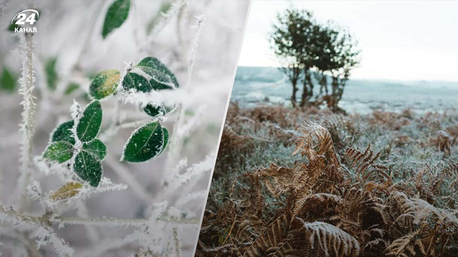 Украинцев снова предупредили о заморозках Украинцев снова предупредили о заморозках