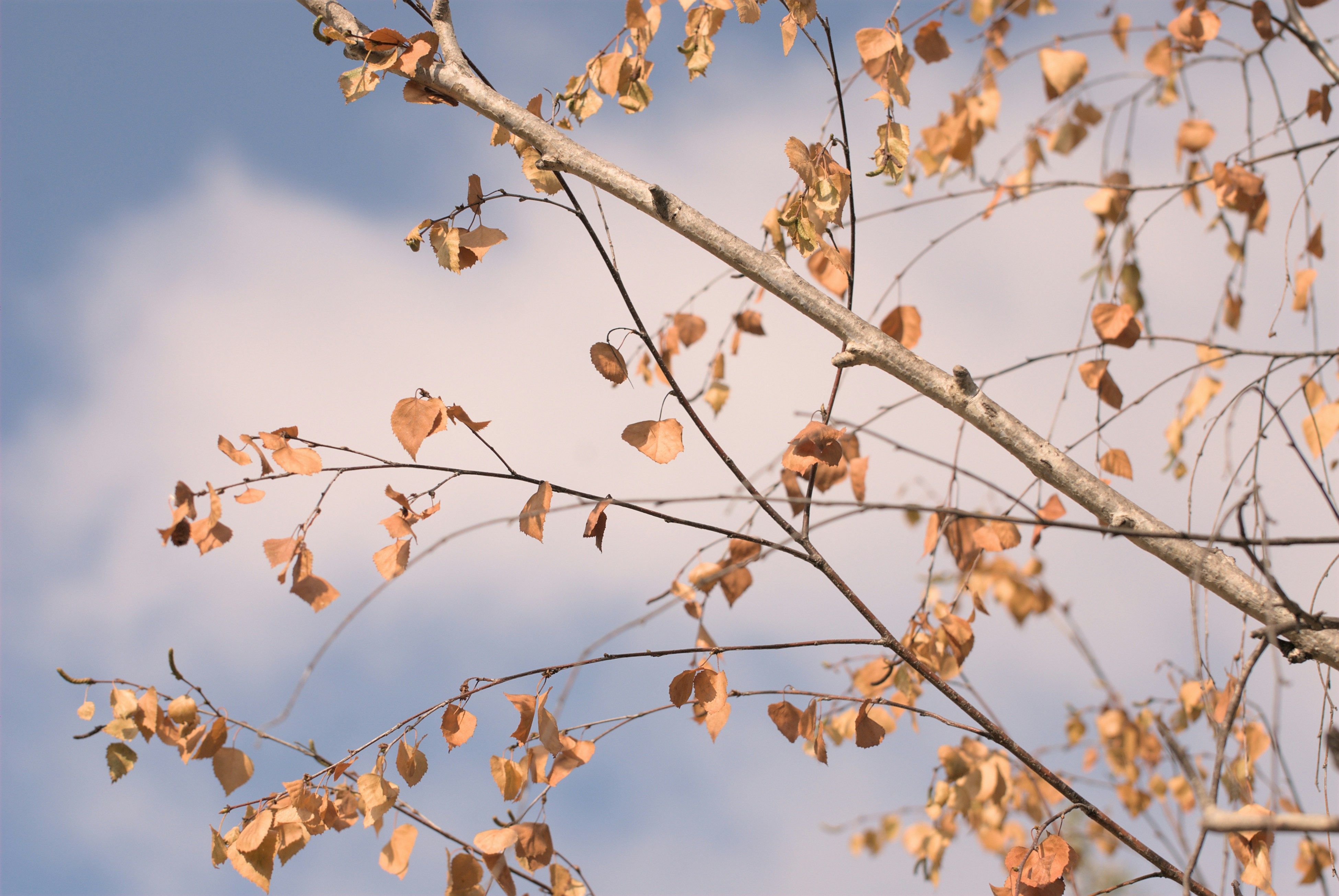 Погода в Украине Погода в Украине