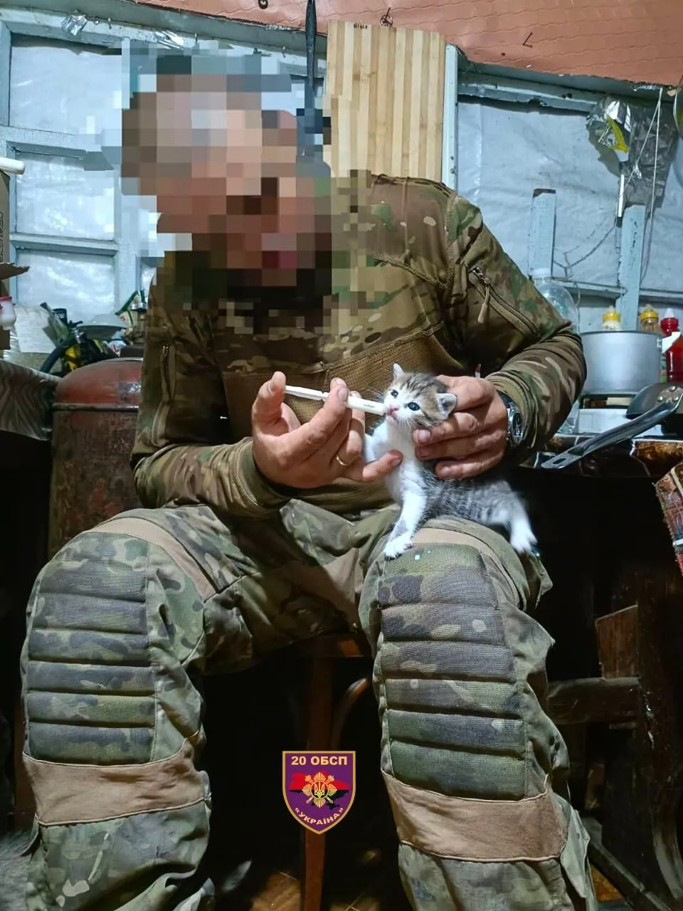 Военные кормят котят Военные кормят котят