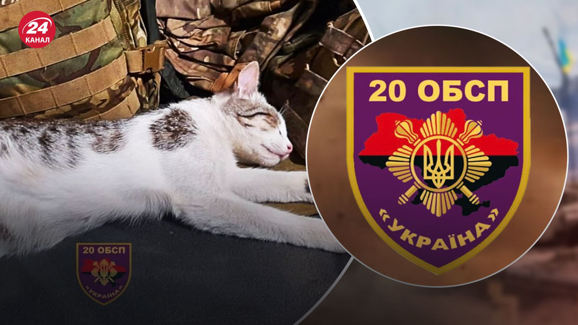 Кошка спасла жизнь бойцу 20 ОБСН Кошка спасла жизнь бойцу 20 ОБСН