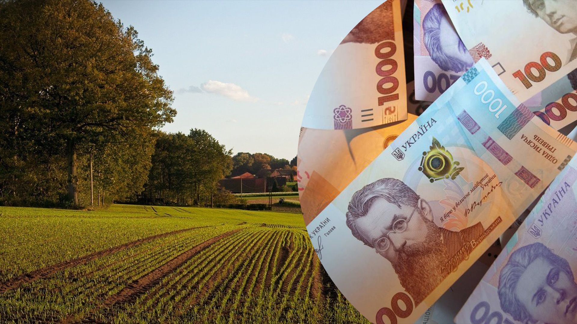 Какова стоимость сотки земли в Украине Какова стоимость сотки земли в Украине