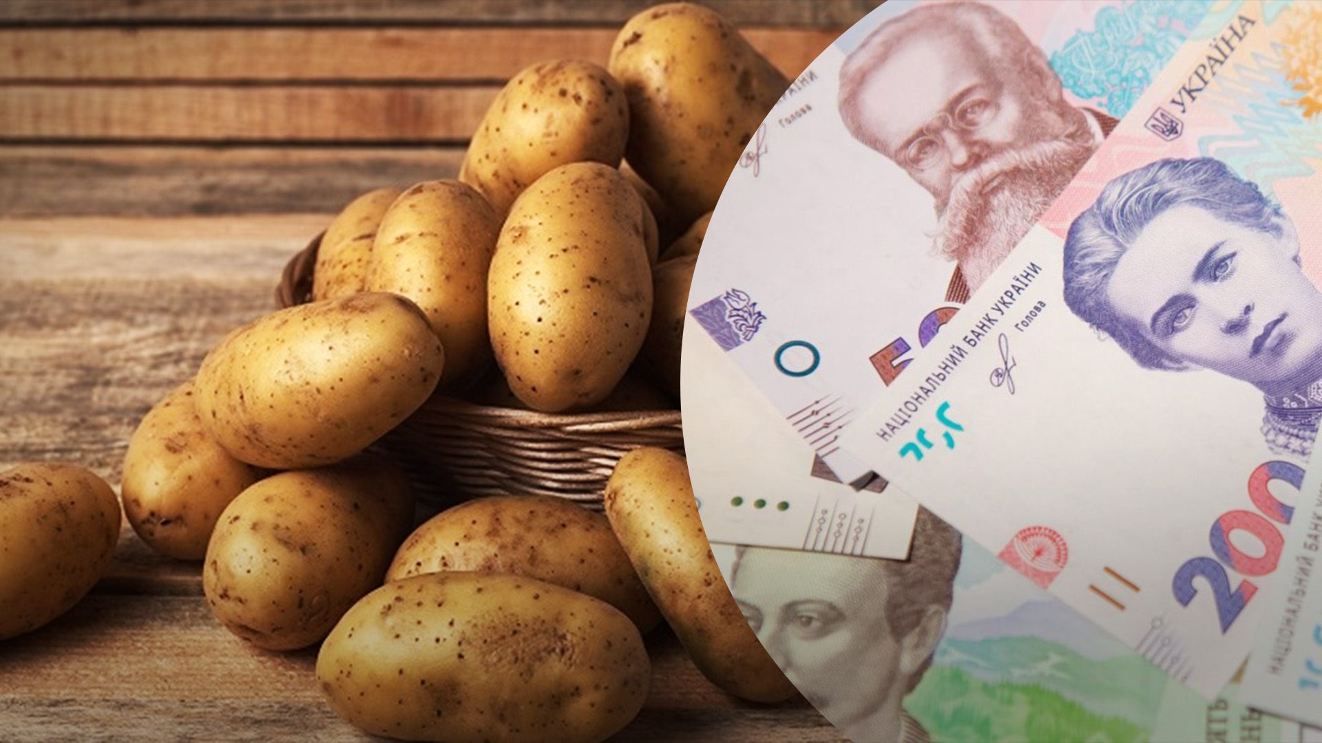 Яка причина здорожчання картоплі Яка причина здорожчання картоплі