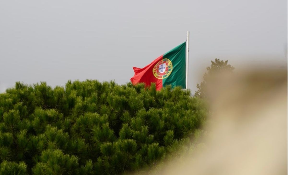 Португалия начнет выдавать гуманитарные визы Португалия начнет выдавать гуманитарные визы