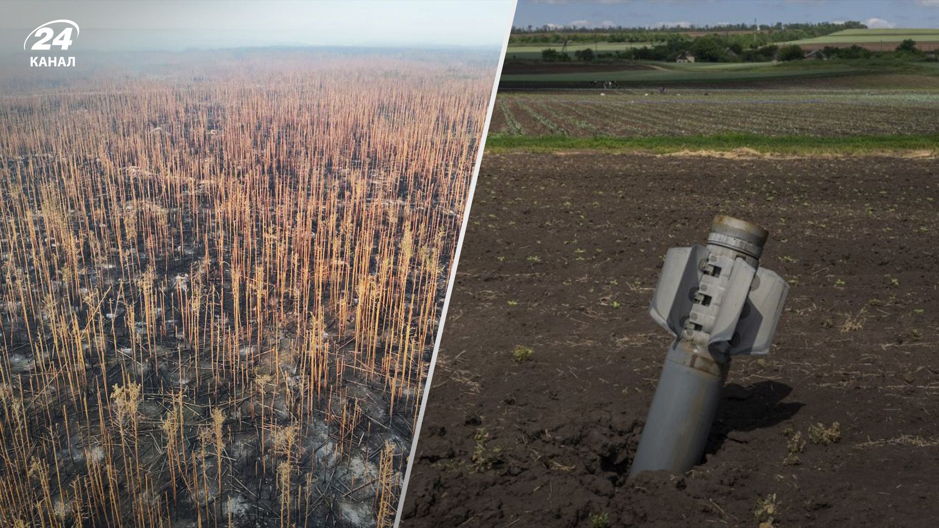 Россия нанесла колоссальный ущерб экологии Украины Россия нанесла колоссальный ущерб экологии Украины