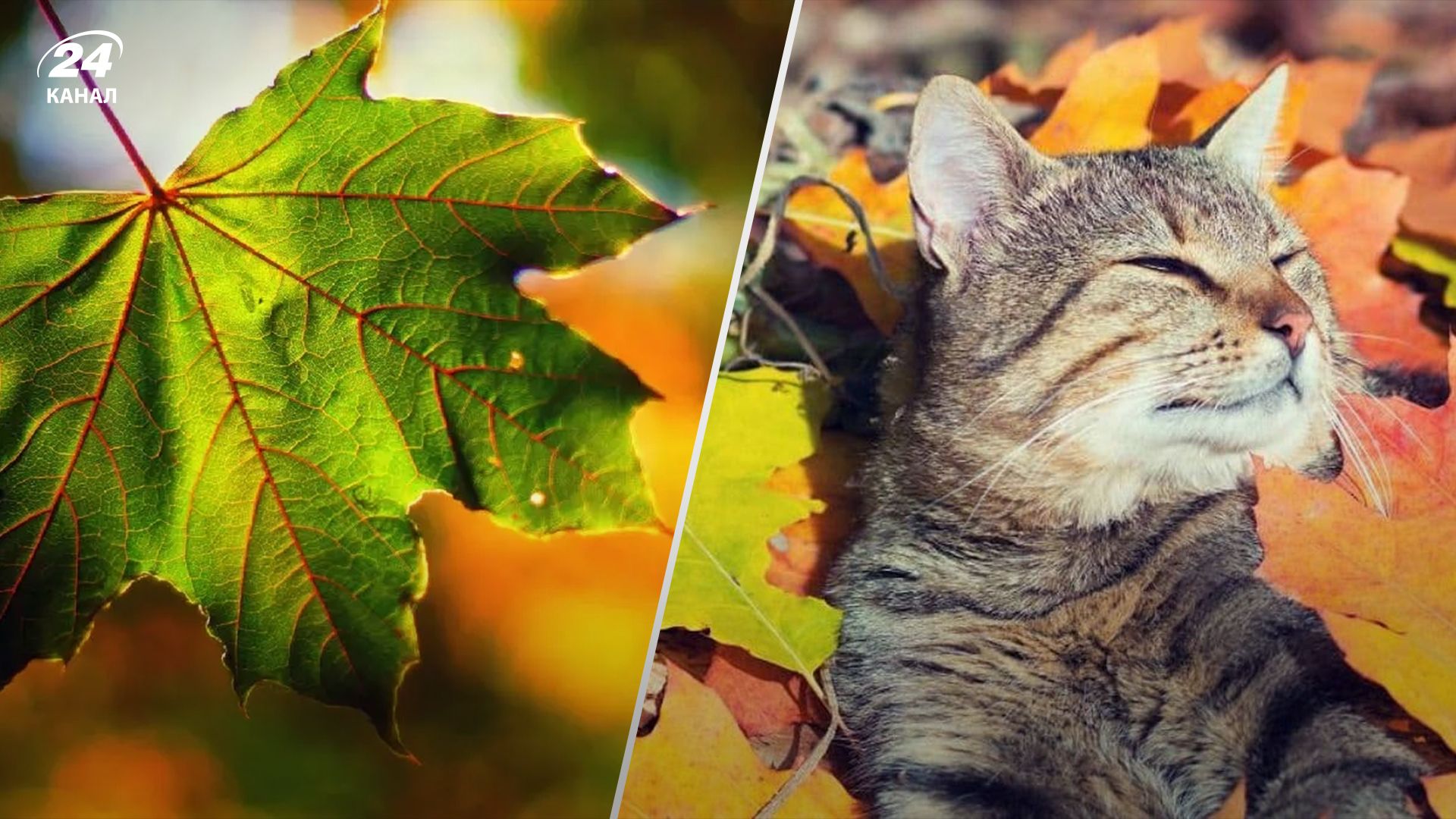 В Україні очікують незначне потепління В Україні очікують незначне потепління