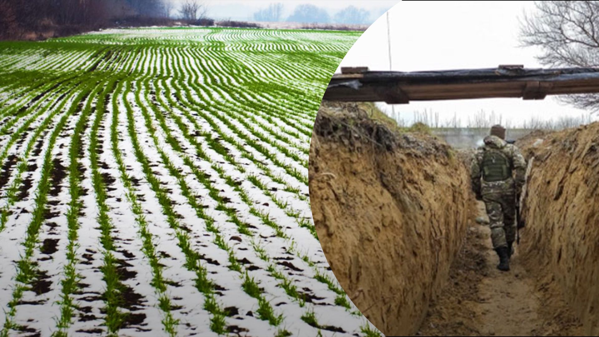 Кого позбавлять права на землю Кого позбавлять права на землю