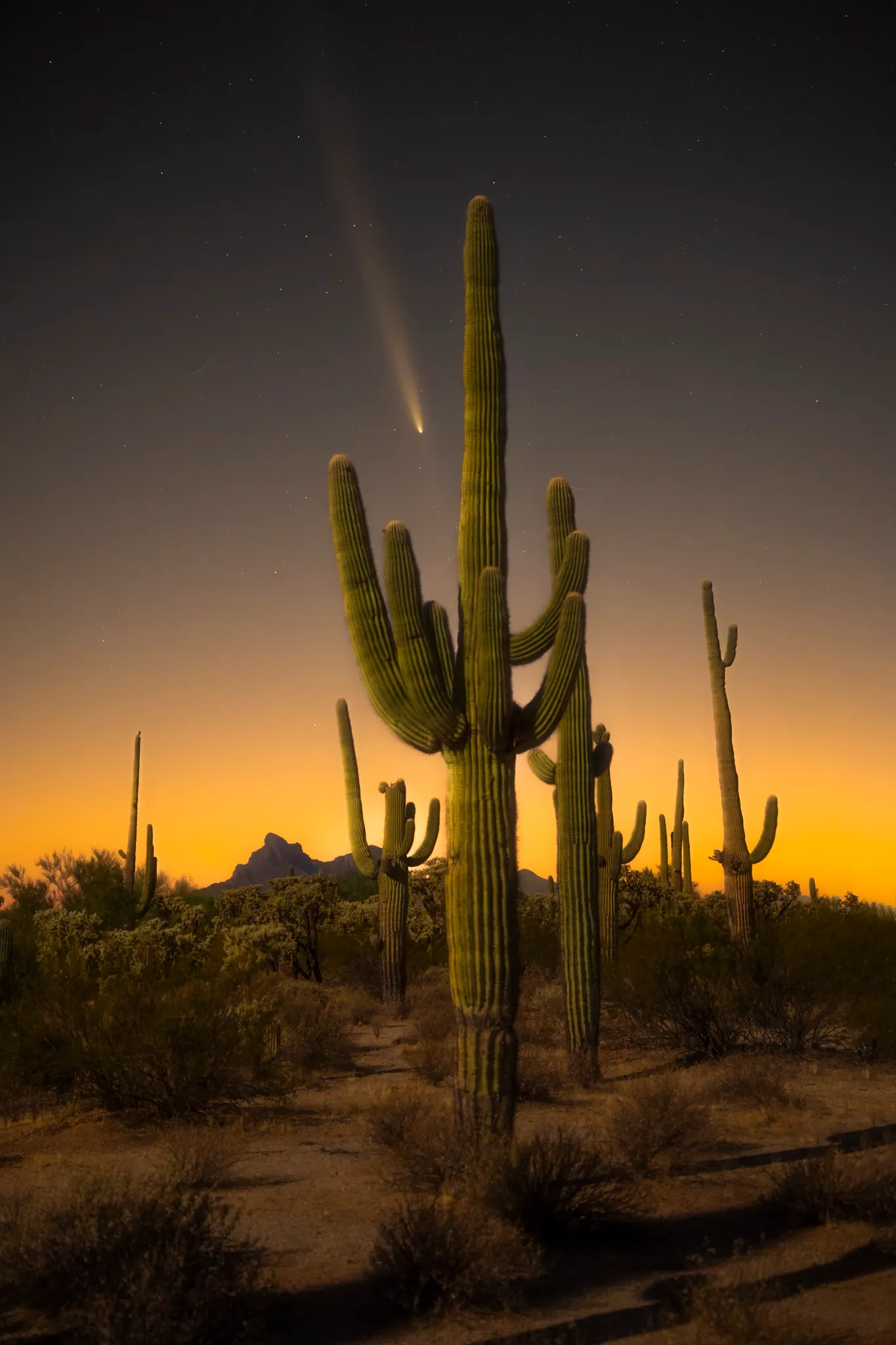 C/2023 A3, також відома як Цучиншань-АТЛАС C/2023 A3, також відома як Цучиншань-АТЛАС