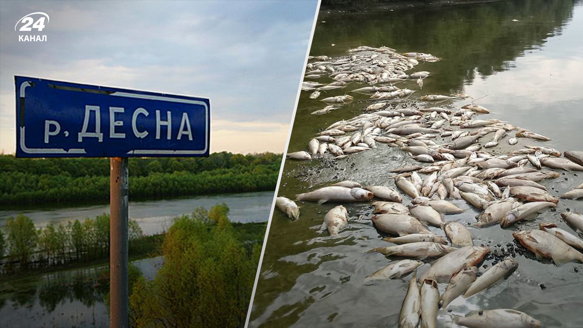 Росіяни сильно забруднили річки, що течуть в Україну Росіяни сильно забруднили річки, що течуть в Україну