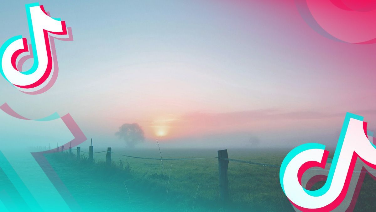 Тренд в тиктоке под трек Layanari & Pandora – Life Is Strange Тренд в тиктоке под трек Layanari & Pandora – Life Is Strange