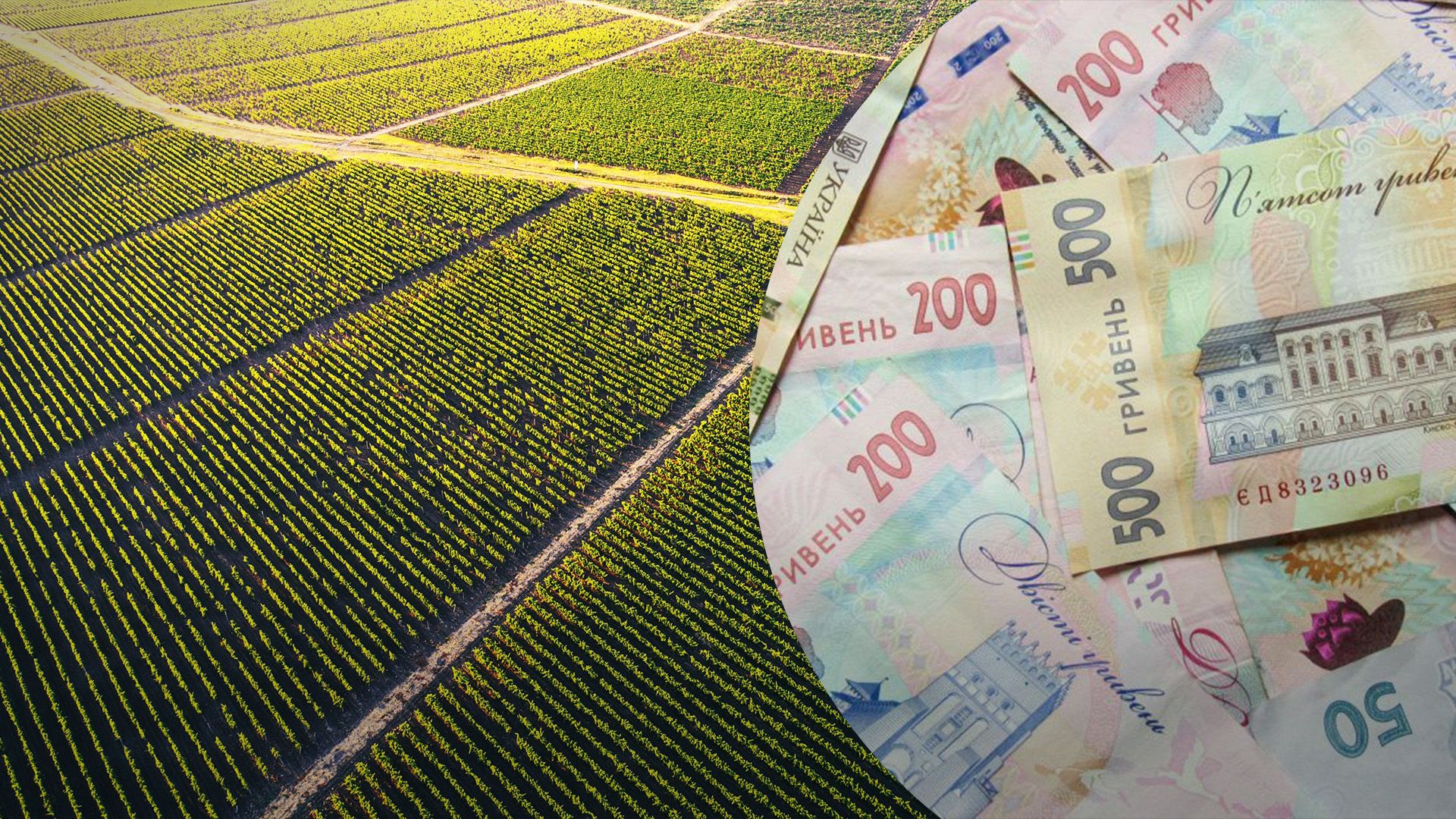 Бюджети громад мають додаткові гроші з земель Бюджети громад мають додаткові гроші з земель