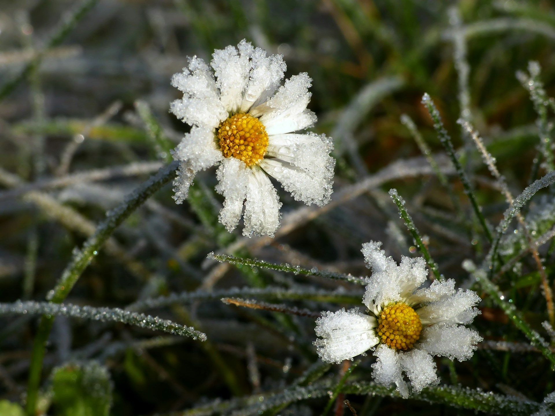 Точний прогноз погоди в Україні на 17 жовтня 2024 - будуть дощі та заморозки - 24 Канал Точний прогноз погоди в Україні на 17 жовтня 2024 - будуть дощі та заморозки - 24 Канал