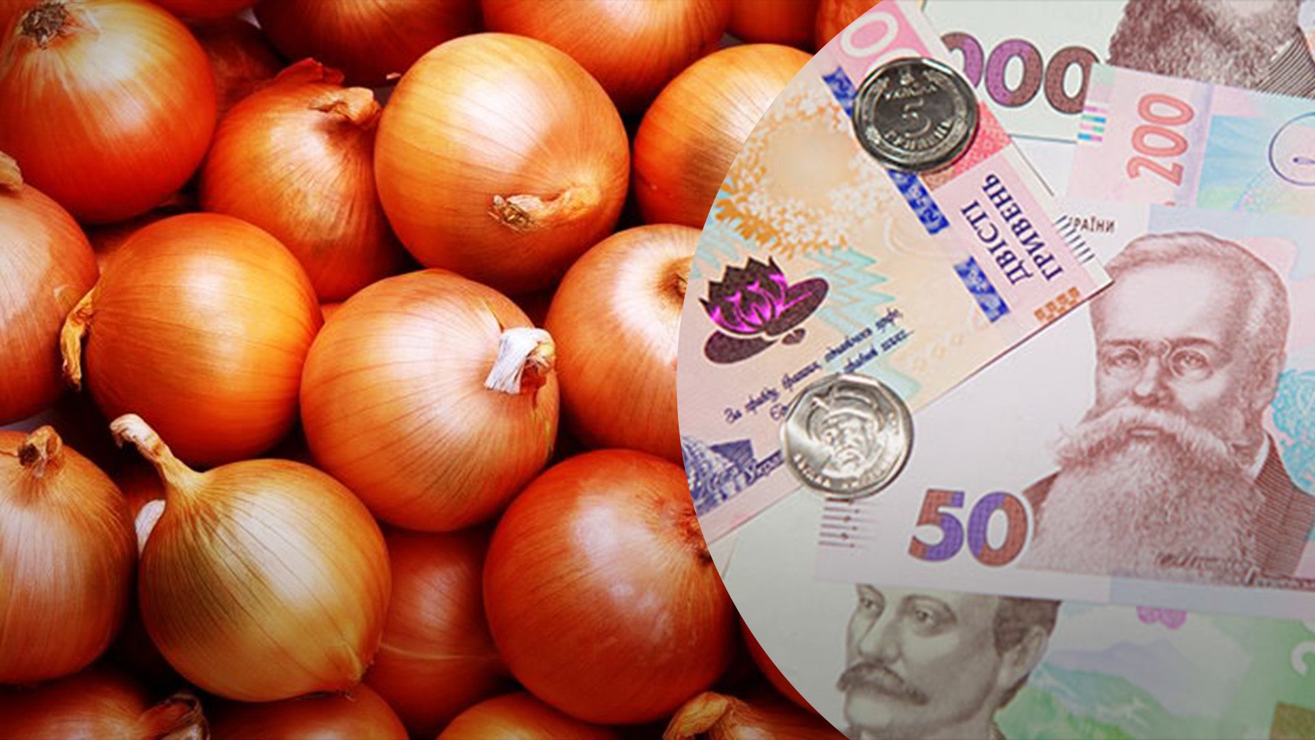 Цибуля продовжує дорожчати Цибуля продовжує дорожчати