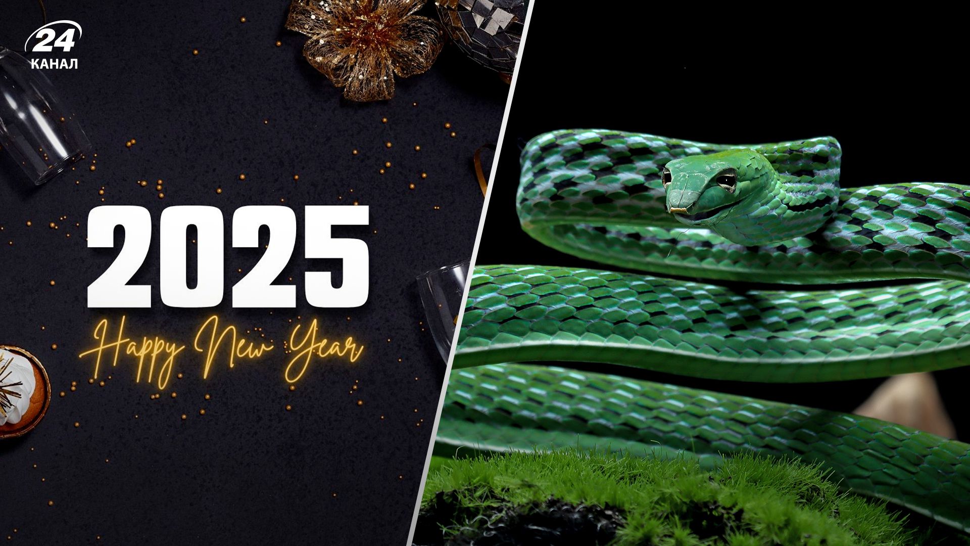 Год Зеленой Деревянной Змеи Год Зеленой Деревянной Змеи