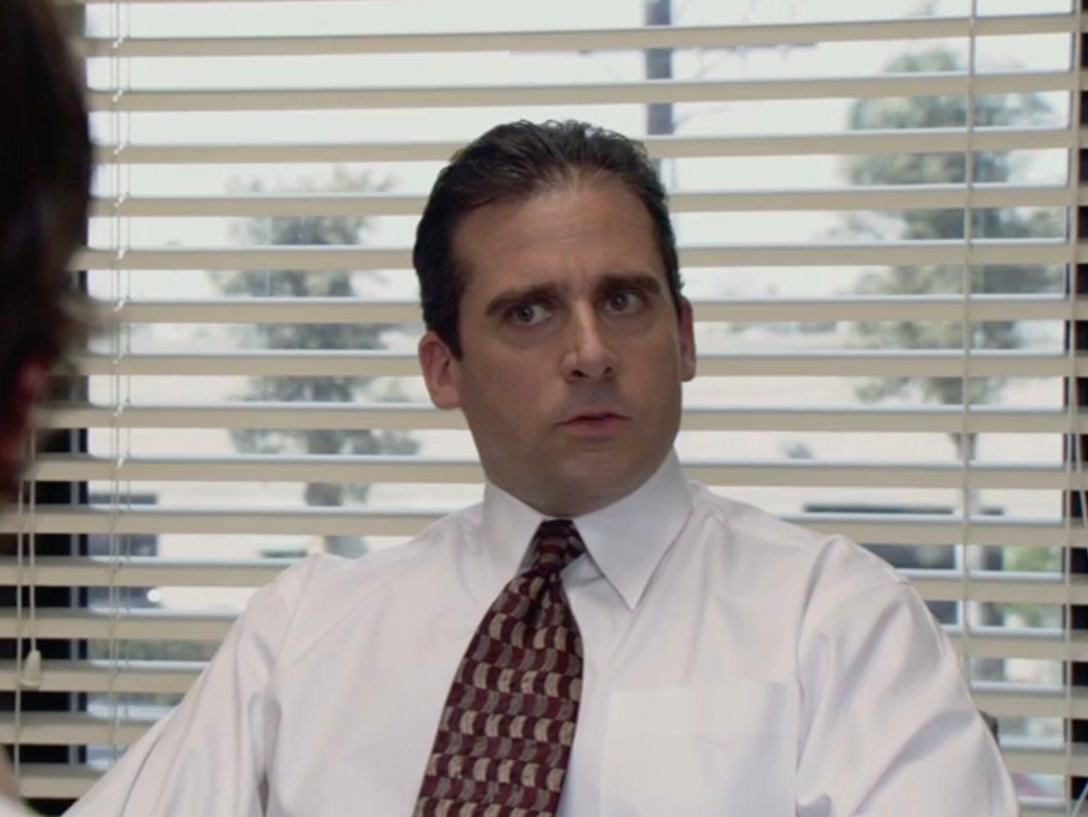 Металлические ролеты из сериала Офис считаются антитрендом Металлические ролеты из сериала Офис считаются антитрендом