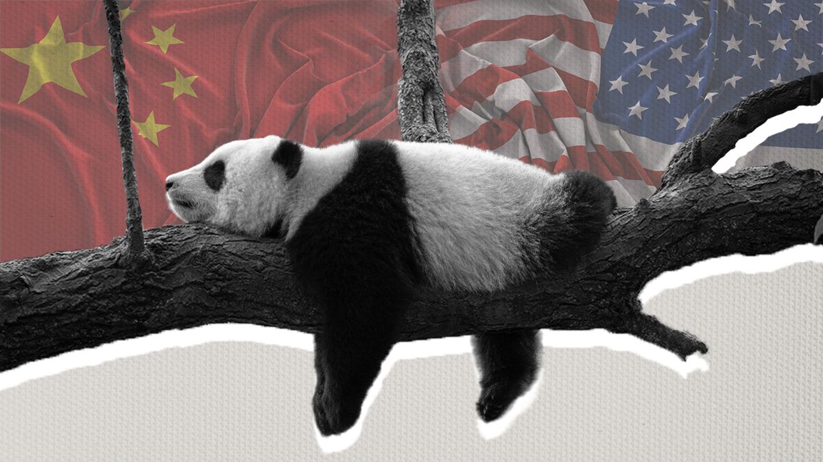 Що таке дипломатія панд Що таке дипломатія панд