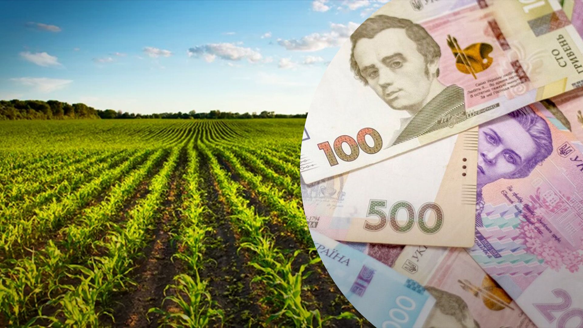 За сколько продают пай в 2024 году За сколько продают пай в 2024 году