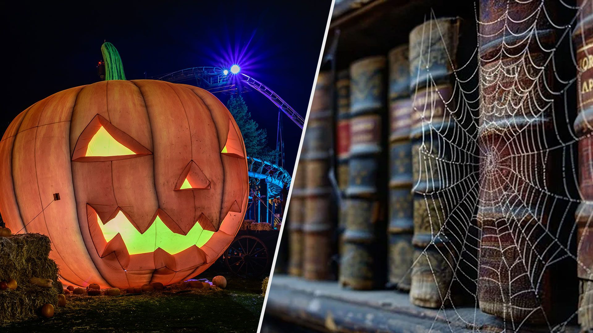 Хелловін 2024 в Україні - які книги на Хелловін варто прочитати - Тренди Хелловін 2024 в Україні - які книги на Хелловін варто прочитати - Тренди