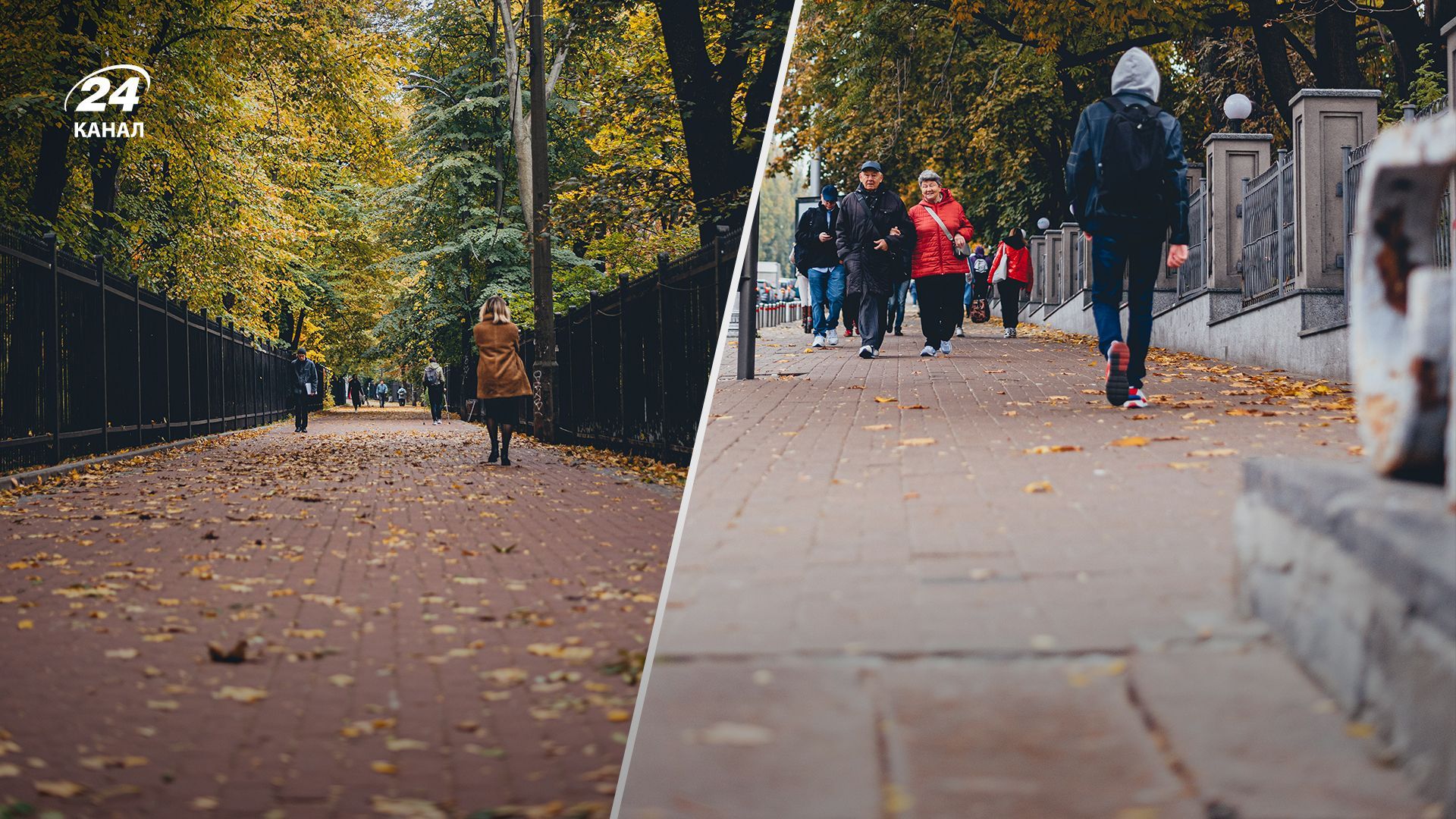На Киев надвигаются сильные заморозки На Киев надвигаются сильные заморозки
