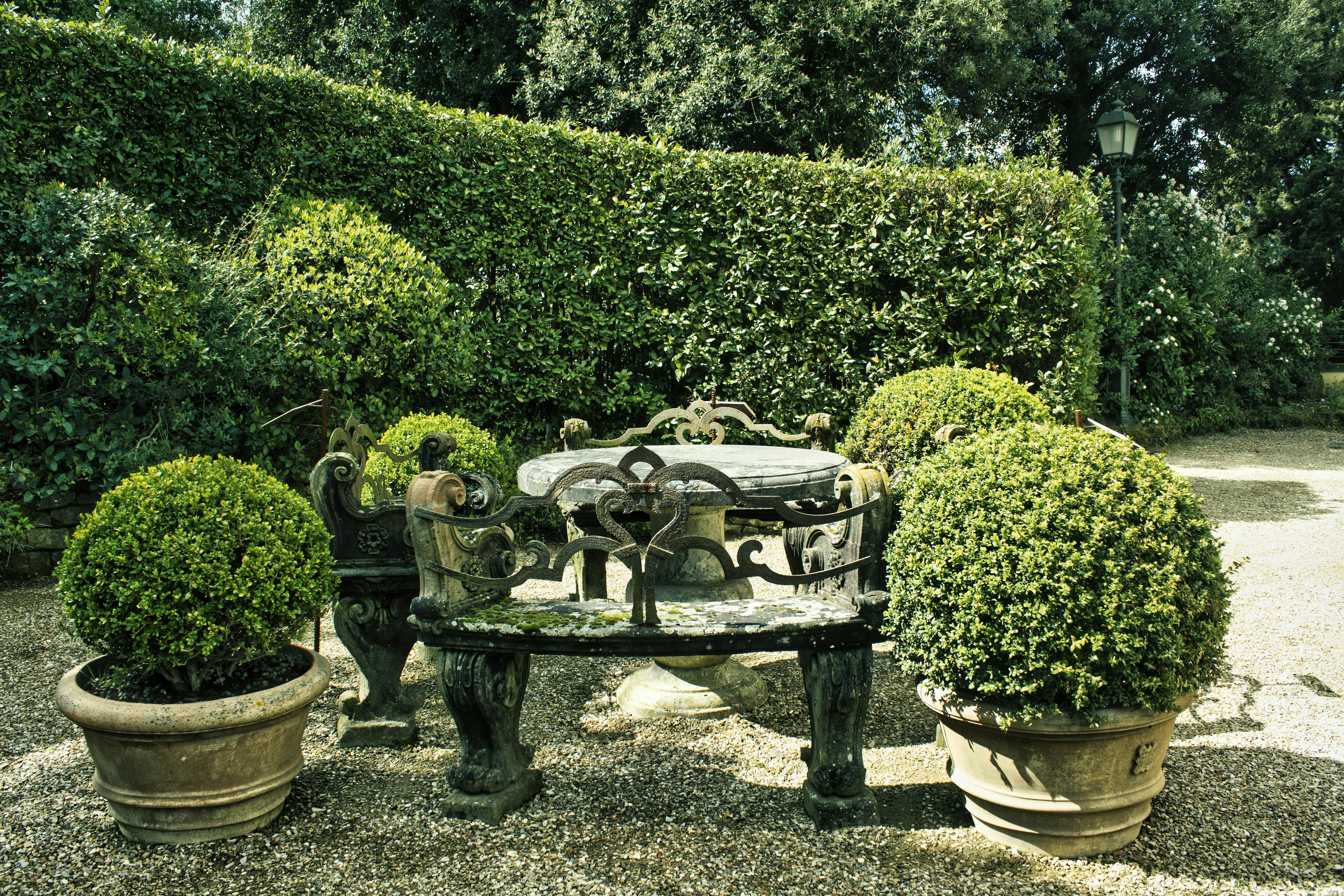 Зелена огорожа нічим не поступається паркану Зелена огорожа нічим не поступається паркану