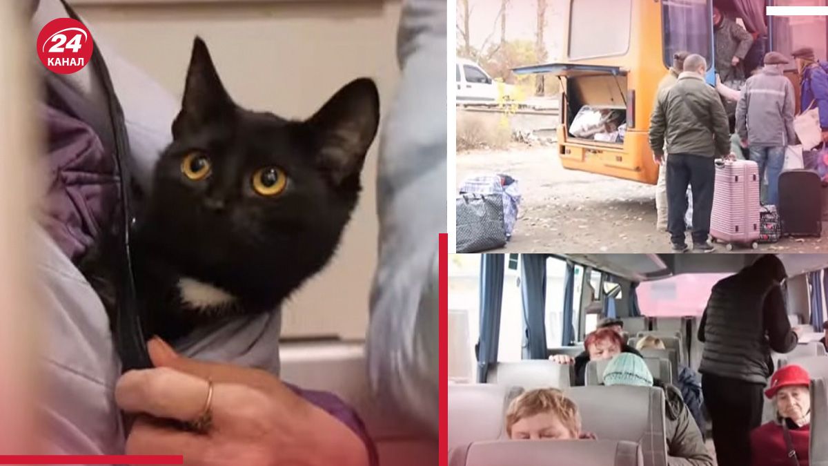 Щемливі кадри евакуації з Куп'янщини Щемливі кадри евакуації з Куп'янщини