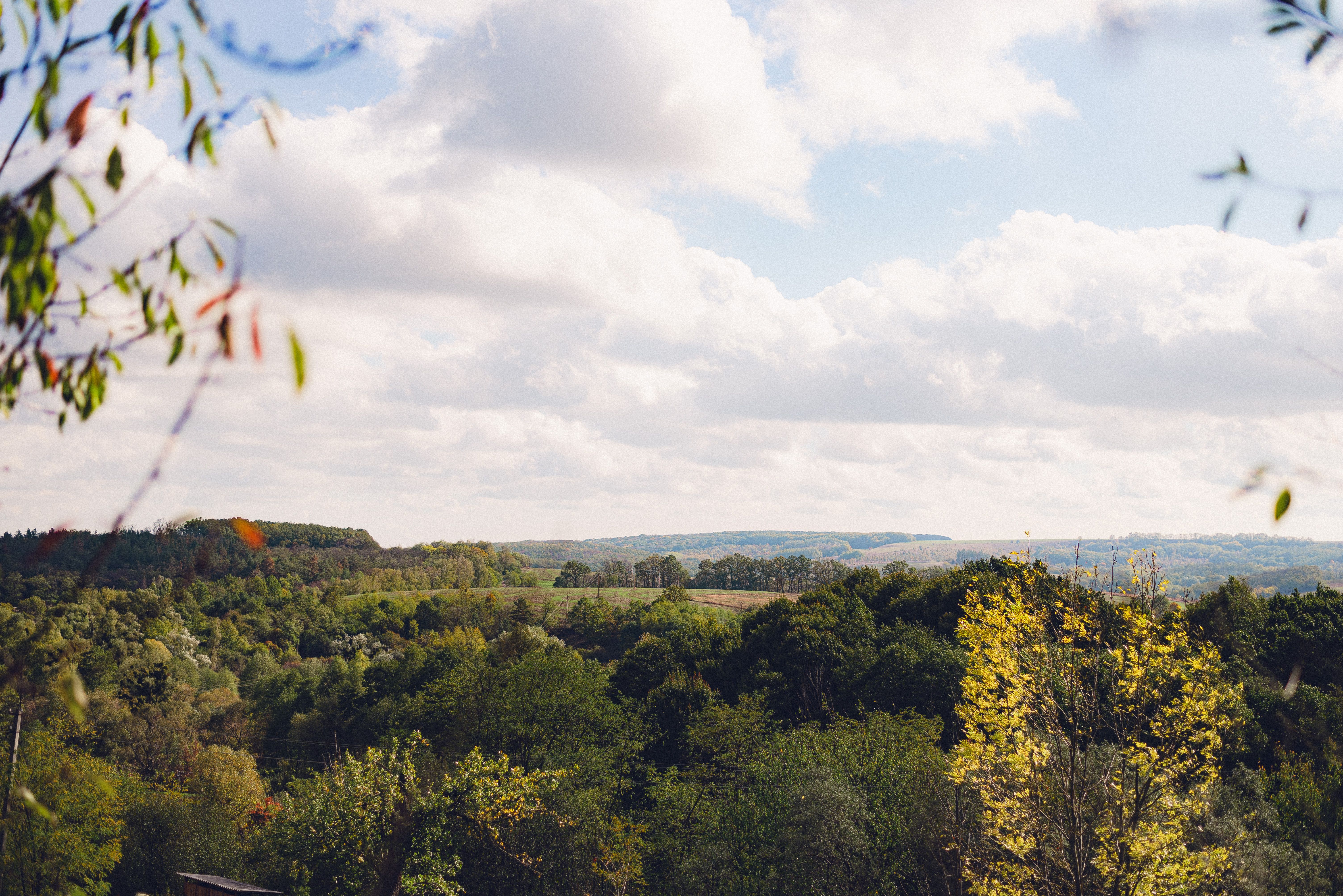 Погода в Україні Погода в Україні
