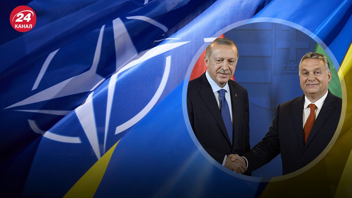 Как убедить Венгрию и Турцию взять Украину в НАТО Как убедить Венгрию и Турцию взять Украину в НАТО