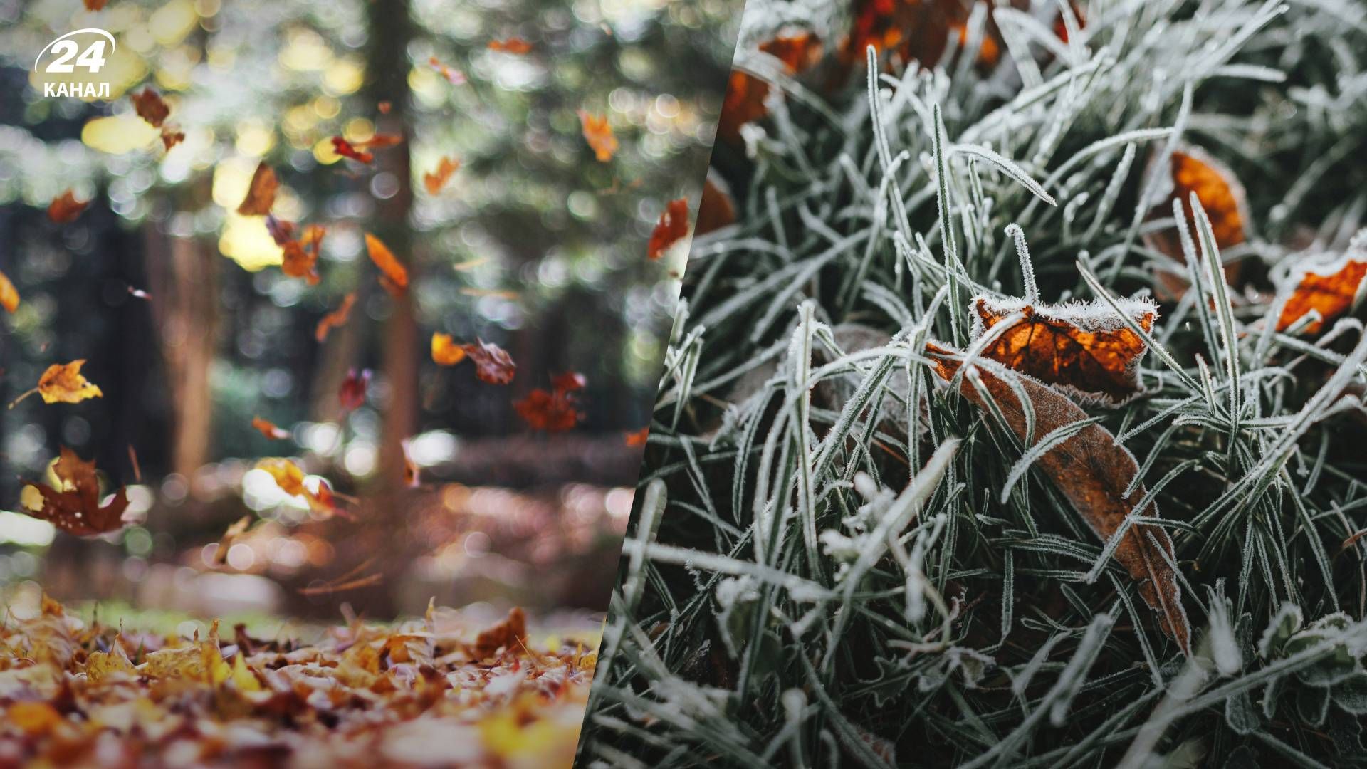 Какой будет погода в октябре - 24 Канал Какой будет погода в октябре - 24 Канал