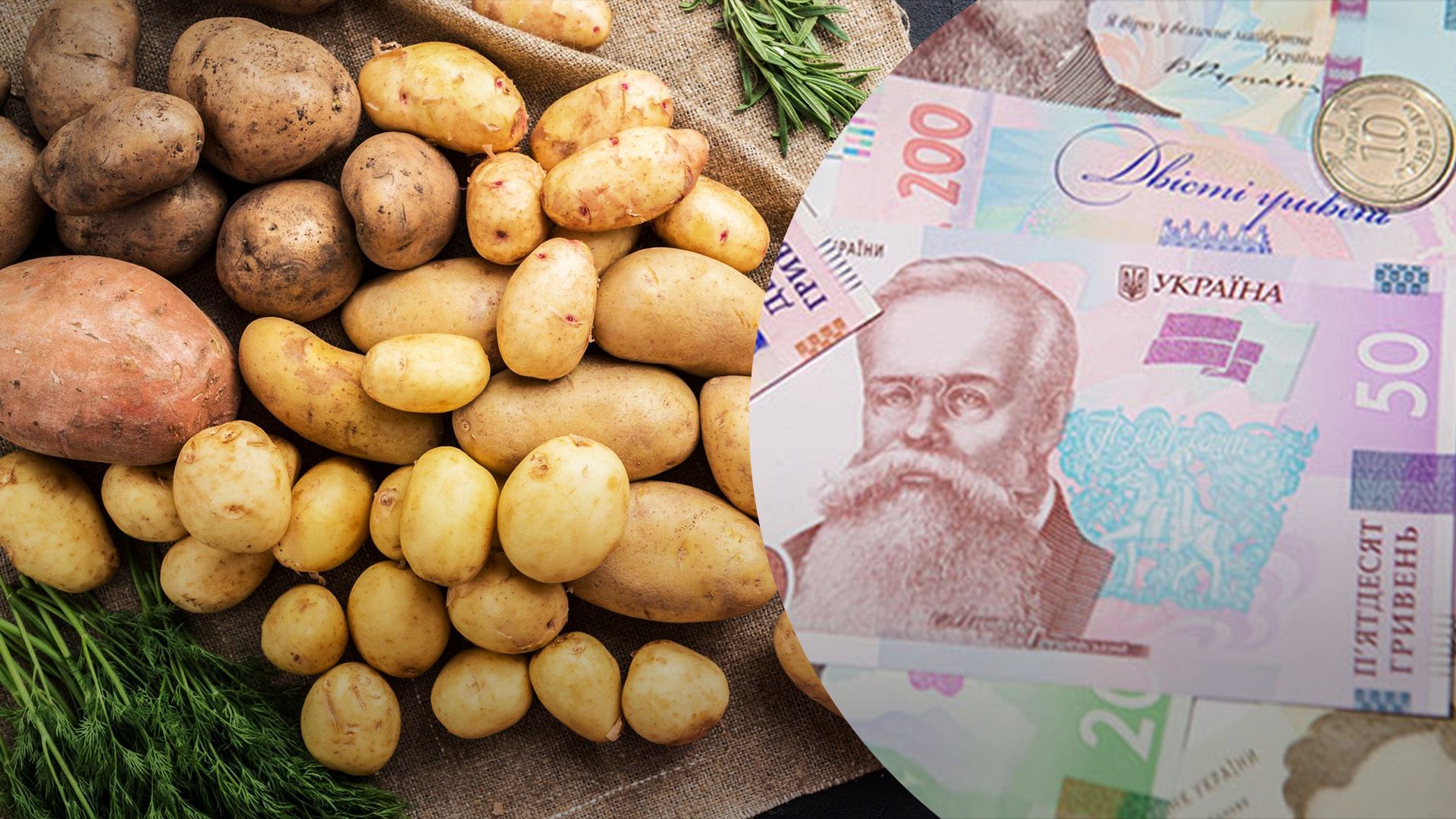 В 2024 году картофель гнил прямо на поле В 2024 году картофель гнил прямо на поле