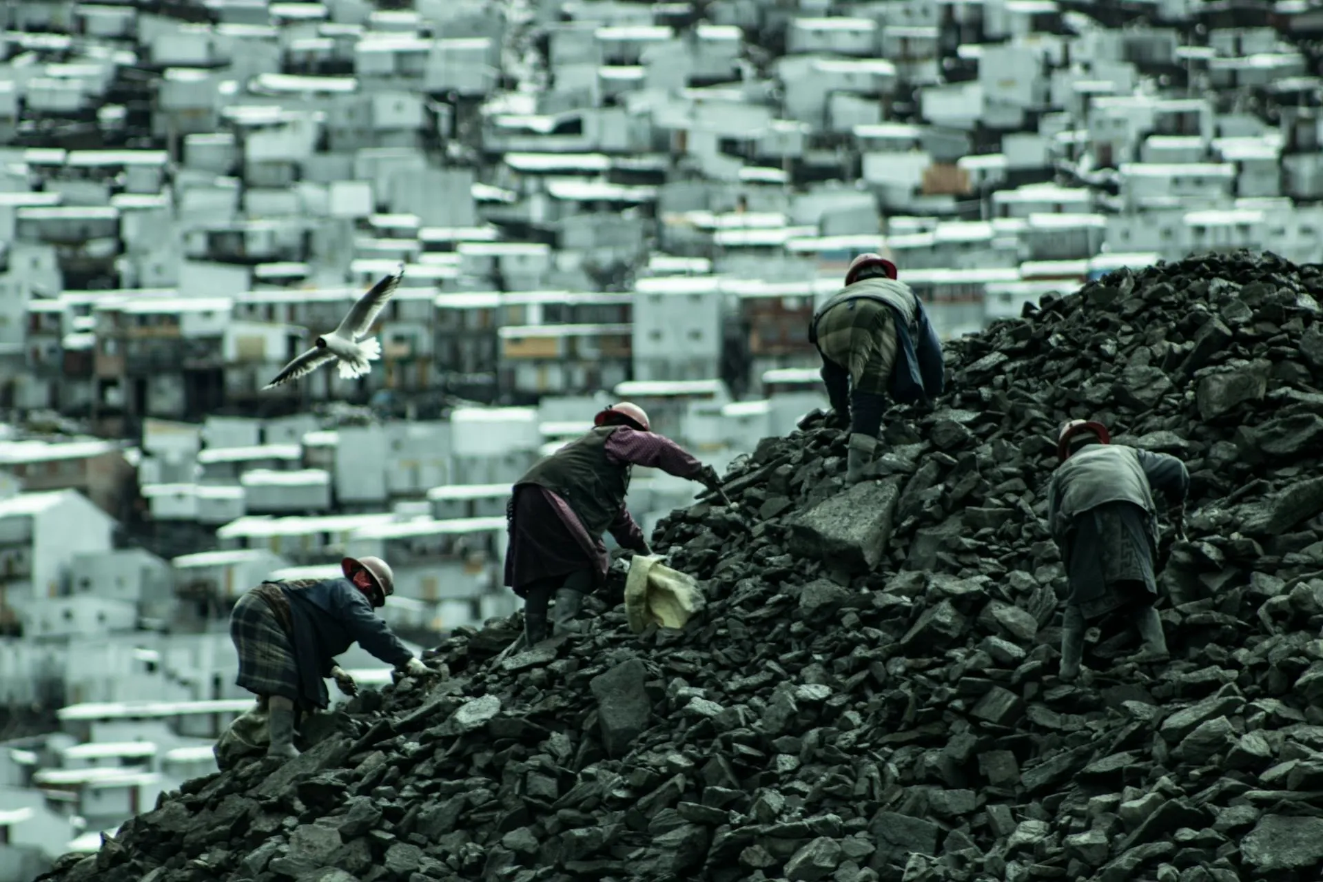 Ла-Ріконада Ла-Ріконада