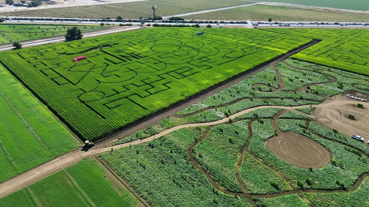 Лабиринт в кукурузе, США