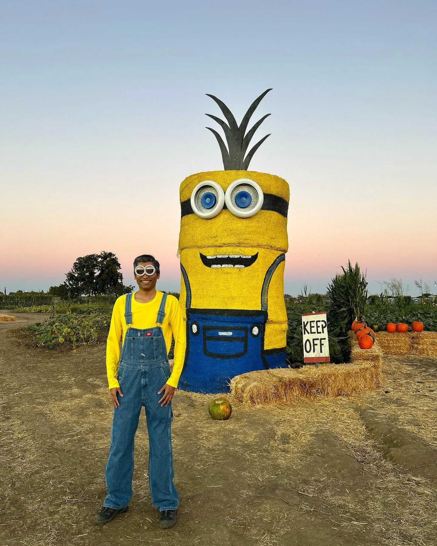 Cool Patch Pumpkins, США