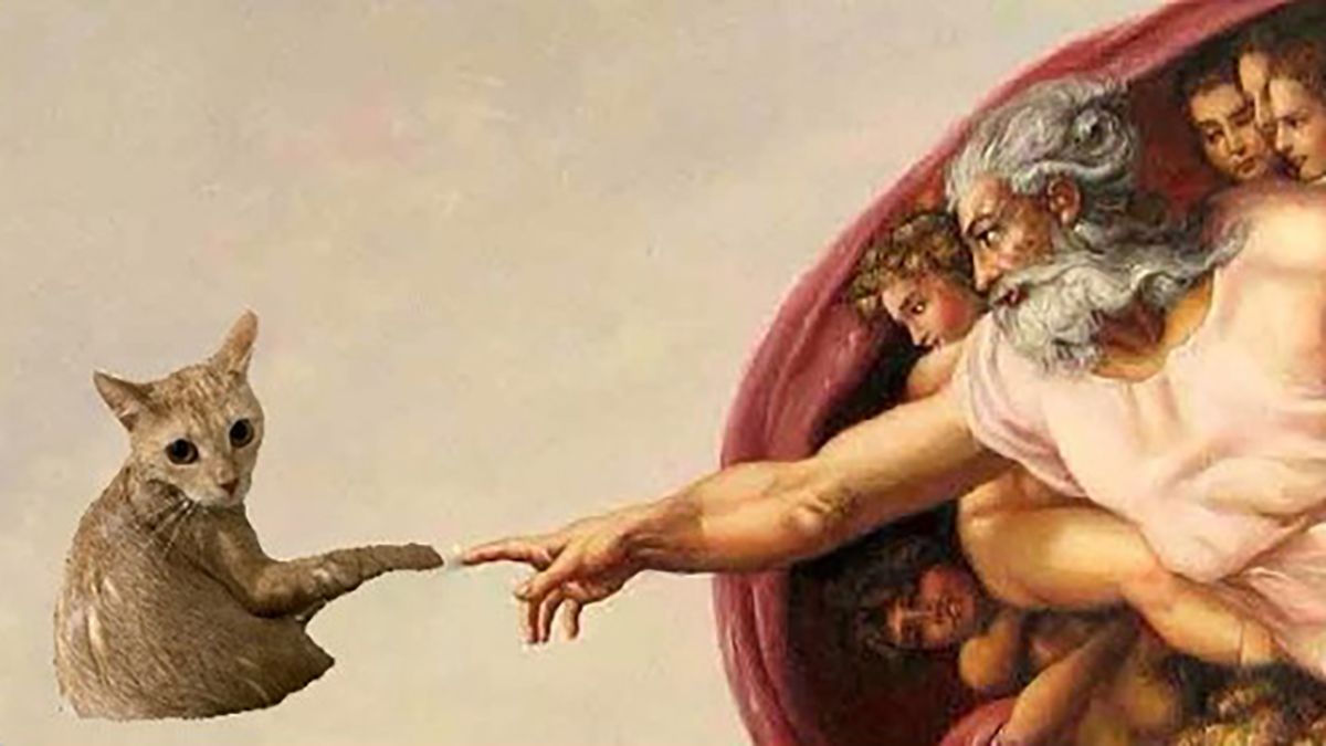 Рудий кіт став зіркою соцмереж після публікації у твітері Рудий кіт став зіркою соцмереж після публікації у твітері