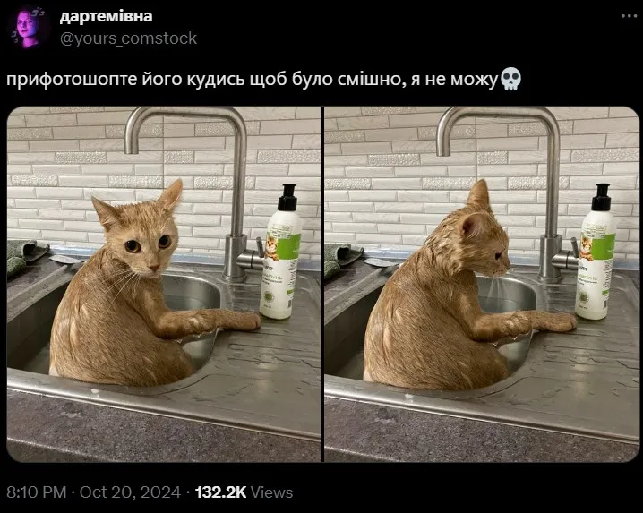 Сообщение со смешным изображением кота Сообщение со смешным изображением кота